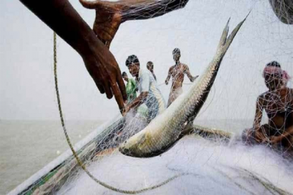 ইলিশ রক্ষায় এ পর্যন্ত ১৭৮ জেলের কারাদণ্ড, ৬ লাখ টাকা জরিমানা