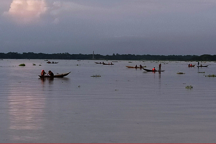 নিষেধাজ্ঞা অমান্য করে সুগন্ধা ও বিষখালী নদীতে মা ইলিশ নিধন