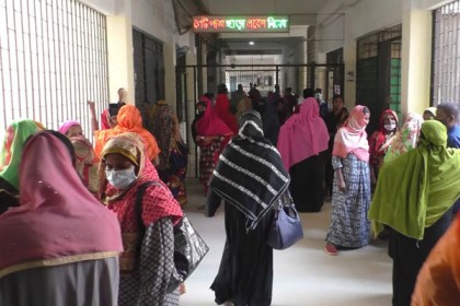 ঝিনাইদহে বাসের ধাক্কায় ভ্যান চালকের মৃত্যু