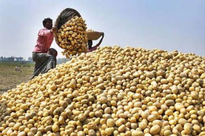 আলুর মূল্য কেজিতে ৫ টাকা বাড়াল সরকার