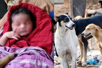 একদিনের শিশুকন্যাকে ফেলে গেল বাবা-মা, কান্না শুনে আগলে রাখল রাস্তার কুকুর!