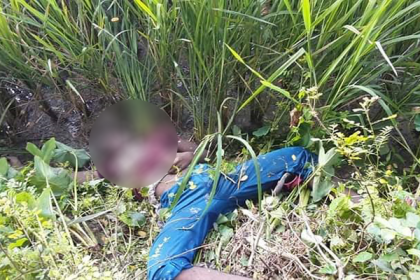 নাটোরে চালককে হত্যা করে অটোভ্যান ছিনতাই
