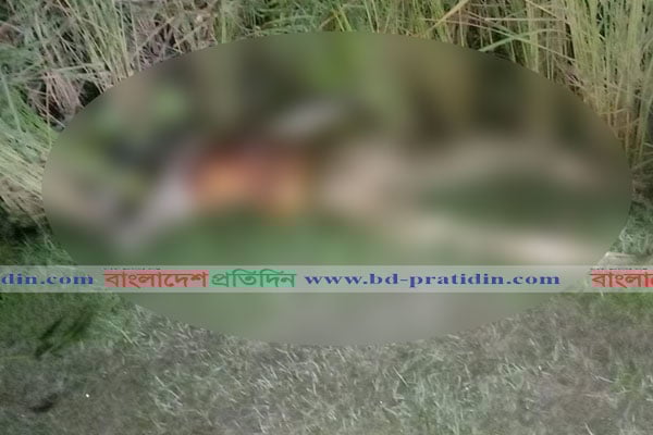ধান ক্ষেতে মিলল যুবকের লাশ