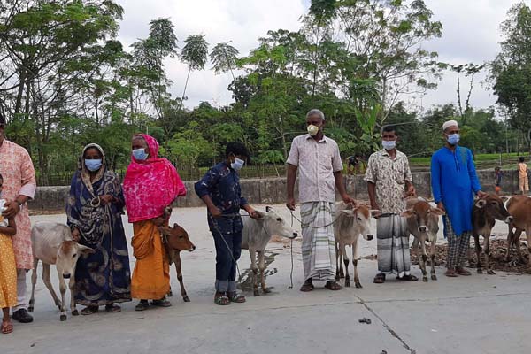 ঠাকুরগাঁওয়ে দরিদ্রদের মাঝে গরুর বাছুর বিতরণ