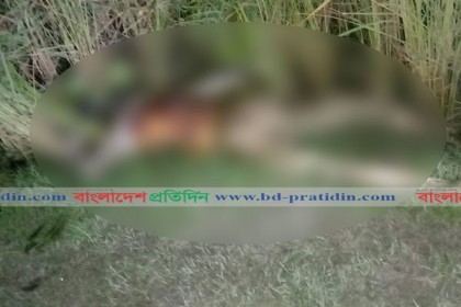 ধান ক্ষেতে মিলল যুবকের লাশ