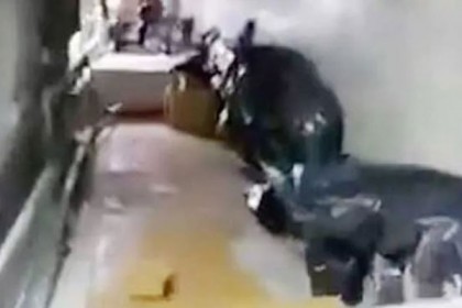 করোনাভাইরাস : সাইবেরিয়ায় মর্গের মেঝেতে লাশের স্তূপ
