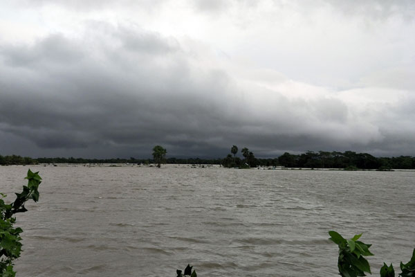 টানা বৃষ্টিতে মোরেলগঞ্জে সাড়ে ৩ হাজার মৎস্য ঘের ডুবে গেছে