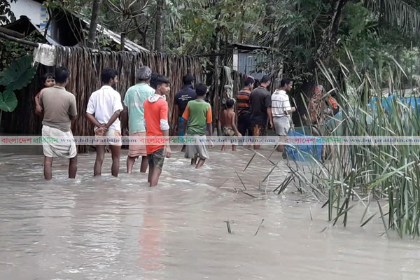 বাগেরহাটে বৃষ্টির পানিতে ভেসে গেছে হাজারো চিংড়ি ঘের ও পুকুরের মাছ