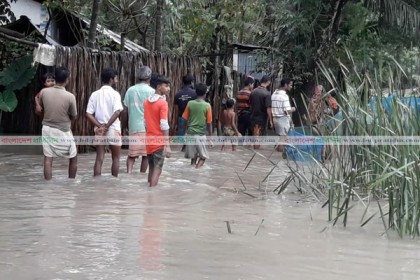 বাগেরহাটে বৃষ্টির পানিতে ভেসে গেছে হাজারো চিংড়ি ঘের ও পুকুরের মাছ