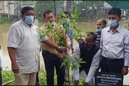 নেত্রকোনায় পানি উন্নয়ন বোর্ডের বৃক্ষরোপণ কর্মসূচি