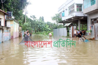 উপজেলা সদর সড়কের জলাবদ্ধতায় মাছ শিকার!