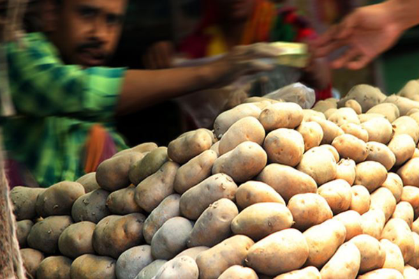 আবারও আলুর দাম হাফ সেঞ্চুরি
