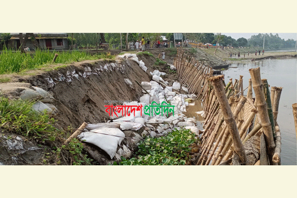 যমুনা ও বাঙালি নদীতে পানি বৃদ্ধি, হুমকির মুখে ৬ গ্রামের মানুষ 