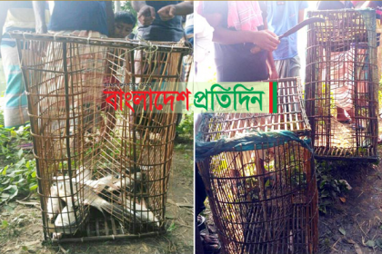প্রতিবেশীর পুকুরের মাছ অভিনব কৌশলে নিজের পুকুরে নেওয়ার অভিযোগ 

