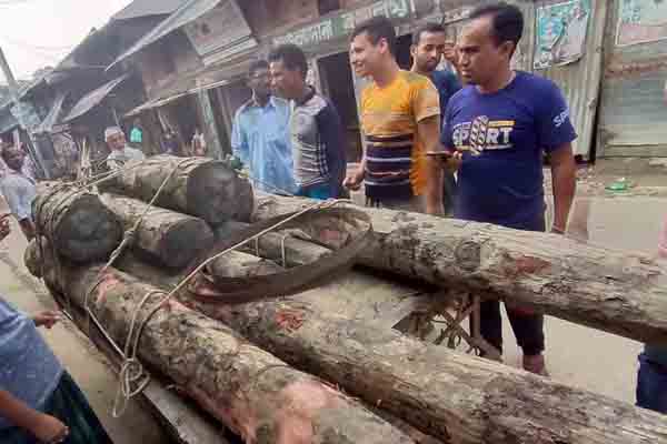 শরণখোলায় করাতকল থেকে নিষিদ্ধ সুন্দরী কাঠ জব্দ