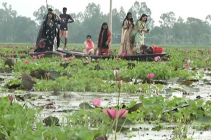 রাজারহাটের শাপলা বিল হতে পারে কুড়িগ্রামের অর্থনৈতিক শক্তি