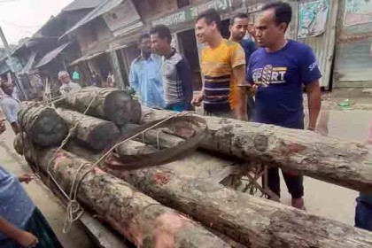 শরণখোলায় করাতকল থেকে নিষিদ্ধ সুন্দরী কাঠ জব্দ
