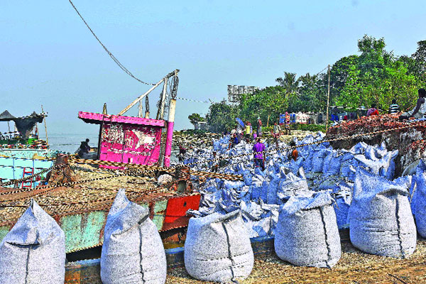 নতুন করে ভাঙন শুরু ফেরিঘাট