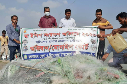 পদ্মায় ইলিশ ধরার দায়ে রাজবাড়ীতে ১১ জেলের কারাদণ্ড