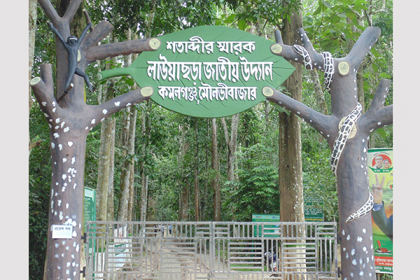 নভেম্বরের শুরুতেই খুলছে লাউয়াছড়া জাতীয় উদ্যান