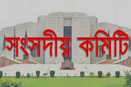 
কিশোর গ্যাংয়ের বিরুদ্ধে ব্যবস্থা ও গাড়ি চালকদের ডোপ টেস্টের সুপারিশ