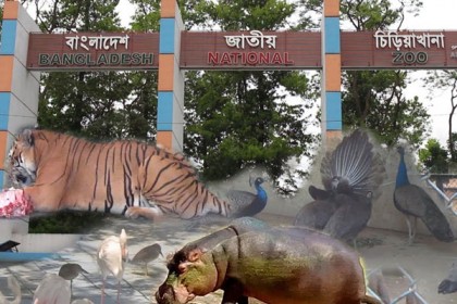 চিড়িয়াখানায় মাসে ১ দিন বিনামূল্যে প্রবেশের সুযোগ