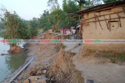 
ঠাকুরগাঁওয়ে নদী ভাঙনে হুমকির মুখে ৫ শতাধিক পরিবার