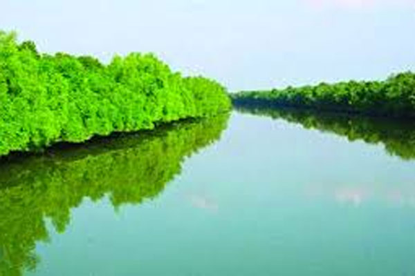 ৭ মাস পর পর্যটকদের জন্য খুলছে সুন্দরবন