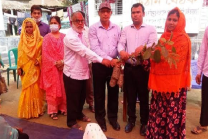 কালিয়াকৈরে উঠান বৈঠক ও ফলের চারা বিতরণ