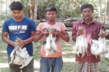 নীলফামারীতে পাখি শিকার করায় ৩ জনকে ৩ দিনের কারাদণ্ড
