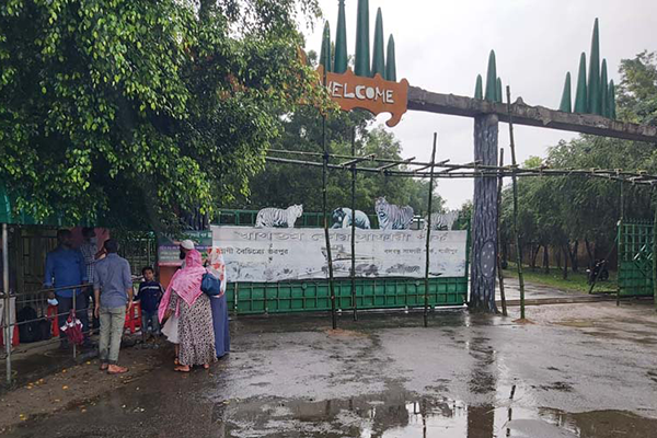 দর্শনার্থীদের জন্য খুলে দেওয়া হয়েছে গাজীপুরের সাফারি পার্ক 

