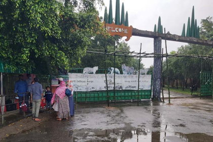 দর্শনার্থীদের জন্য খুলে দেওয়া হয়েছে গাজীপুরের সাফারি পার্ক 

