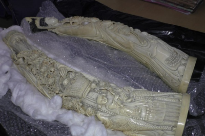 ভারতের বিমানবন্দরে হাতির দাঁতসহ নারী আটক
