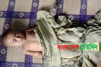 নোয়াখালীতে মাথায় নারিকেল পড়ে শিশুর মৃত্যু