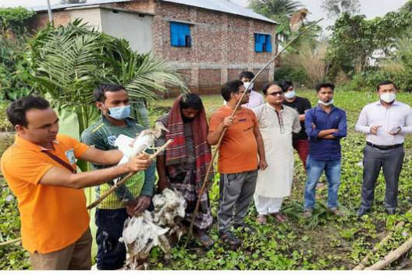চলনবিলে ২ পাখি শিকারী আটক
