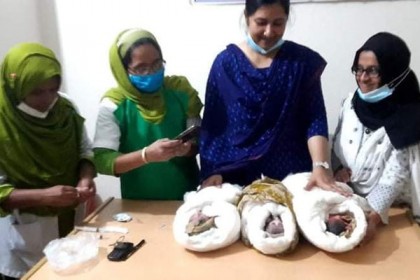 একসঙ্গে ৩ সন্তানের জন্ম দিলেন গৃহবধূ