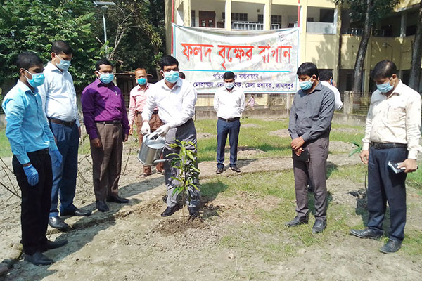 জামালপুরে মুজিববর্ষে রোপন করা হবে এক লাখ চারা