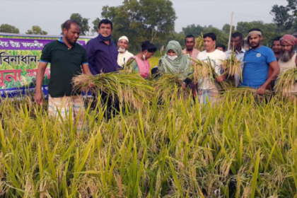 ব্রাহ্মণবাড়িয়ায় মাঠ দিবস অনুষ্ঠিত