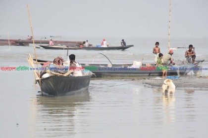 পদ্মায় প্রত্যাশিত ইলিশ মিলছে না, হতাশ জেলেরা