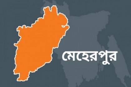 পিতার পর পুত্রের বিদায়