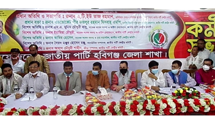 এরশাদের স্বপ্ন বাস্তবায়ন করতে হলে জাতীয় পার্টিকে শক্তিশালী করতে হবে: পীর মিজবাহ