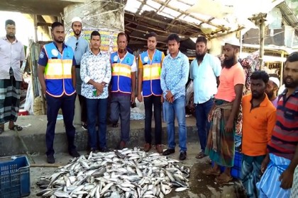কলাপাড়ায় জাটকা ইলিশ জব্দ