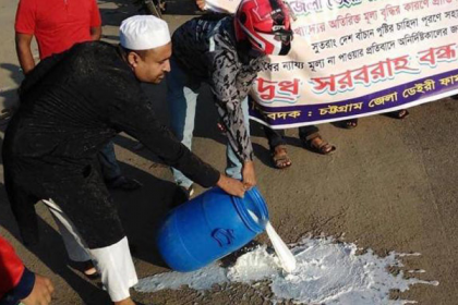 দুধের দাম বাড়ানোর দাবিতে সড়কে দুধ ঢেলে খামারিদের প্রতিবাদ
