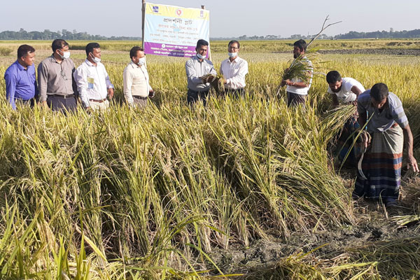 সুষ্ঠু পানি ব্যবস্থাপনার মাধ্যমে উন্নত জাতের 
ফসল উৎপাদনে মাগুরায় মাঠ দিবস 