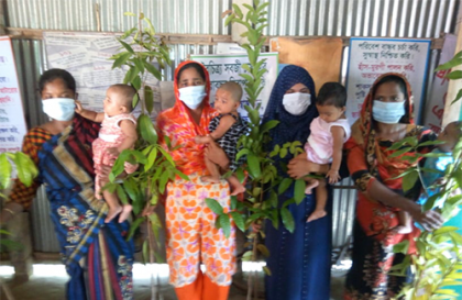 নবজাতক জন্ম নিলেই গাছের চারা নিয়ে হাজির তারা