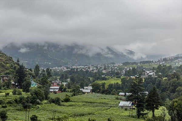 কাশ্মীরে চাষাবাদ বিকাশে ‘জাফরান দিবস’ পালন