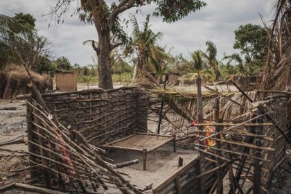 এবার মোজাম্বিকে ৫০ জনের শিরশ্ছেদ করল জঙ্গিরা
