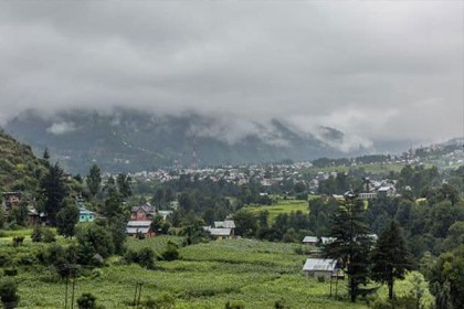 কাশ্মীরে চাষাবাদ বিকাশে ‘জাফরান দিবস’ পালন