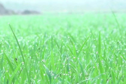কুড়িগ্রামে শীতের আগমনী বার্তা