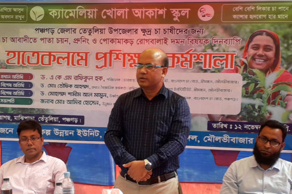 পঞ্চগড়ে ক্ষুদ্র চা চাষীদের জন্য ‘ক্যামিলিয়া খোলা আকাশ স্কুল’